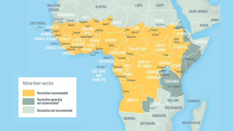 Yellow Fever Vaccine Recommendations in Africa