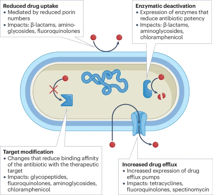 Mechanisms of Antibiotic Resistance in Bacteria
