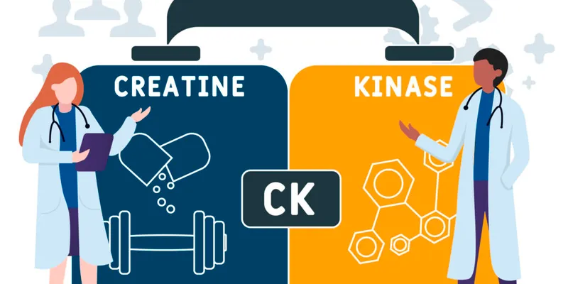 Creatine Kinase (CK) explained by medical professionals