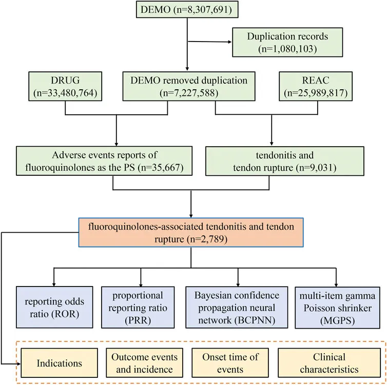 Fluoroquinolone-associated tendonitis and rupture data
