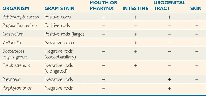 Anaerobic Bacteria: Organism, Gram Stain, and Location