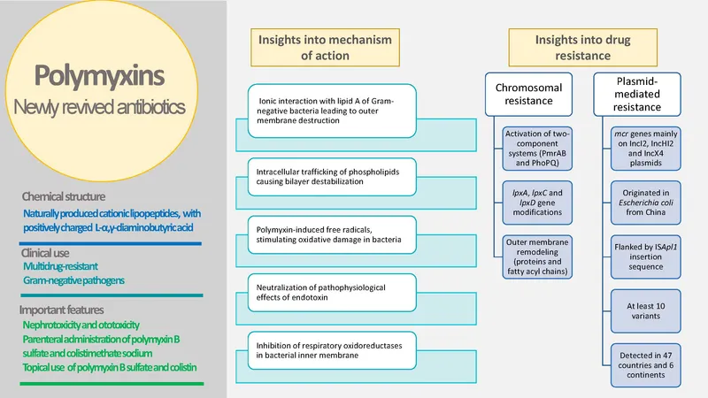 Polymyxins: Mechanism of Action and Drug Resistance