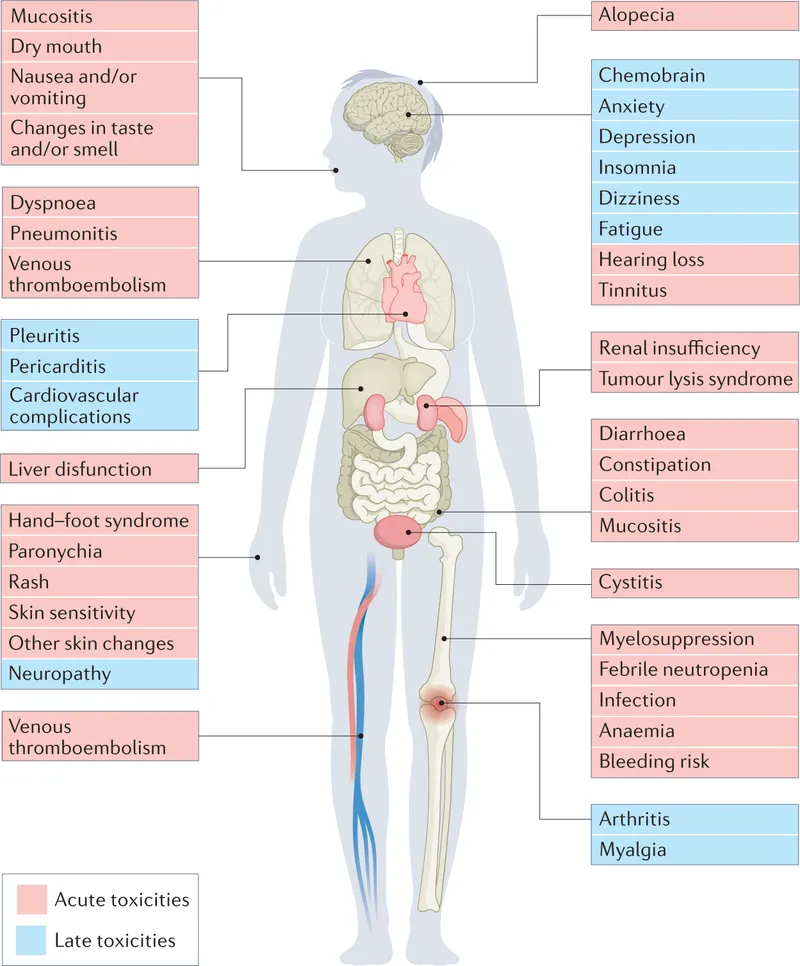Chemotherapy Side Effects by Body System