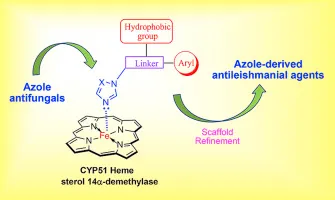 Azole antifungals and CYP51 heme sterol 14α-demethylase