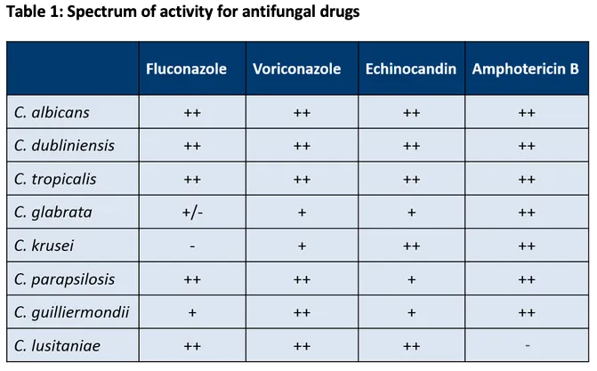 Antifungal drug spectrum of activity against Candida species
