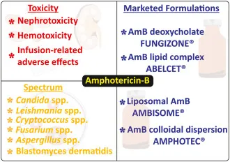 Amphotericin B: Toxicity, Spectrum, and Formulations