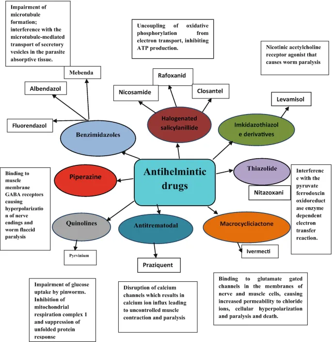 Anthelmintic Drugs: Classes and Mechanisms of Action