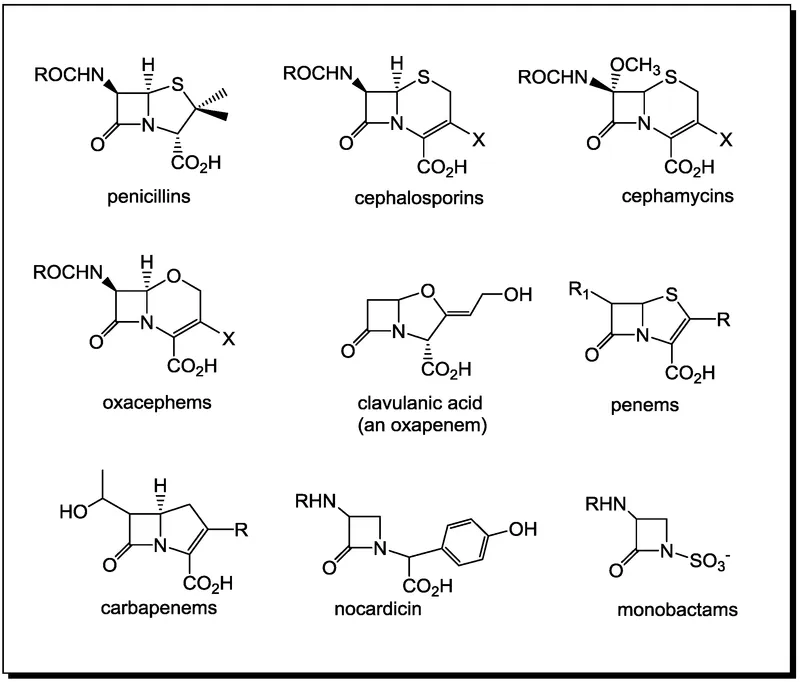 Beta-lactam antibiotic chemical structures