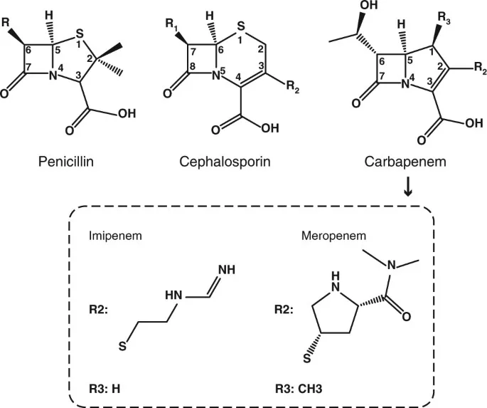 Beta-lactam R-group side chains