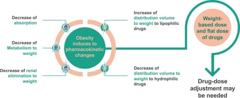 Obesity and Pharmacokinetic Changes Affecting Drug Dosing