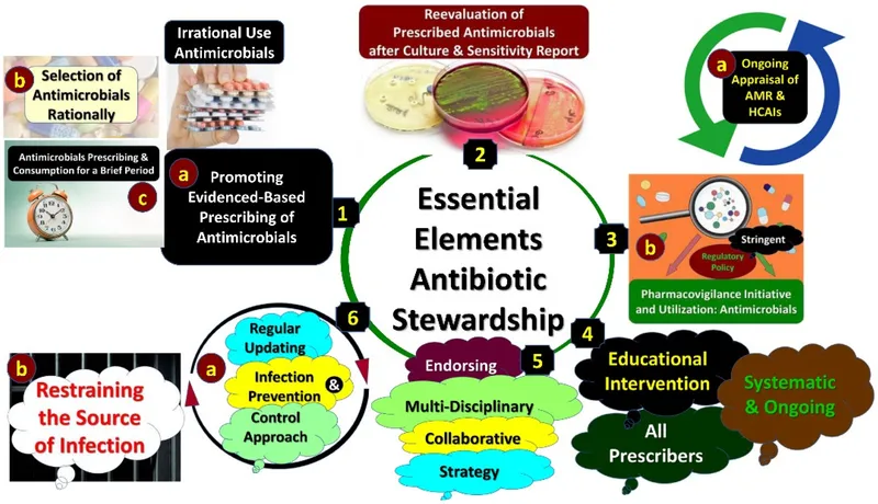 Essential Elements of Antibiotic Stewardship Cycle