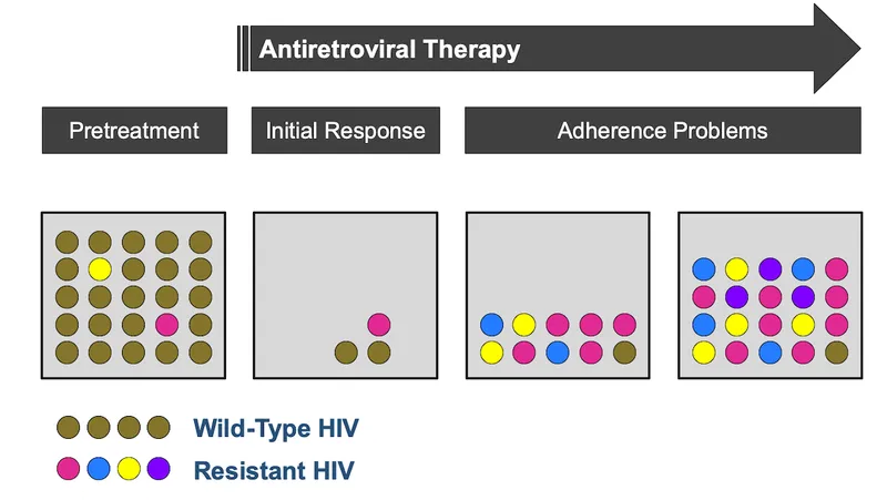 HIV Antiretroviral Resistance Due to Adherence Problems