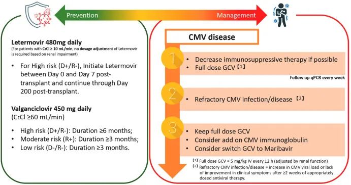 CMV Prevention and Management in Transplant Patients