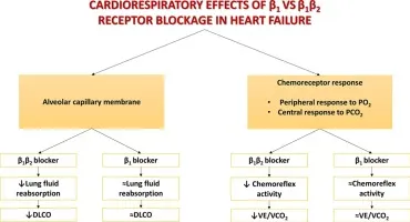 Cardiorespiratory effects of beta-blockers in heart failure