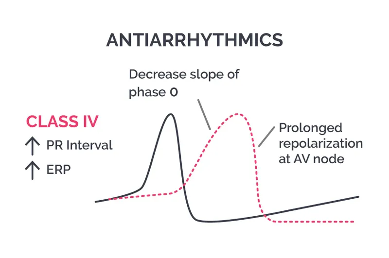 Class IV Antiarrhythmics: Nodal Action Potential Effects