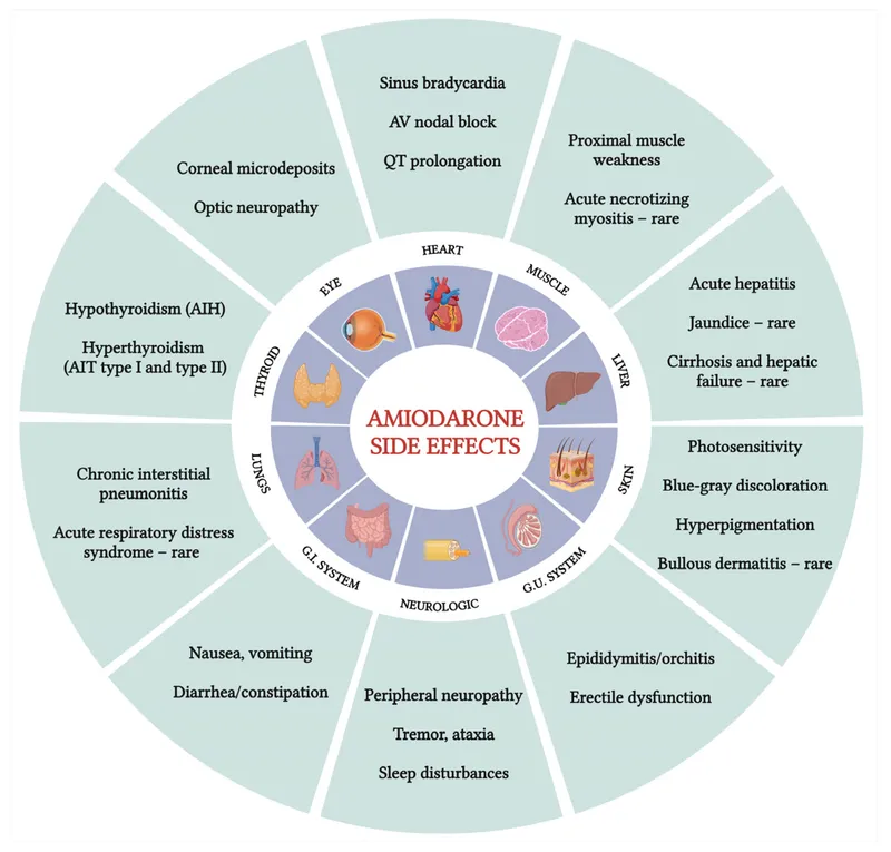 Amiodarone Side Effects by Organ System