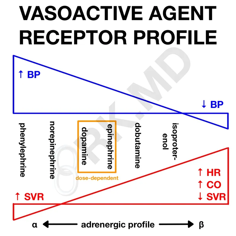Vasoactive Agent Receptor Profile