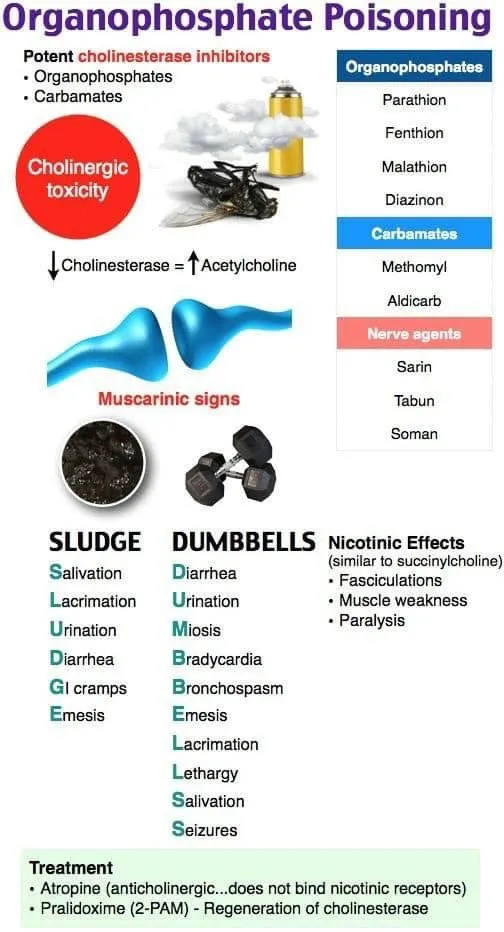 Organophosphate Poisoning: SLUDGE and DUMBBELLS