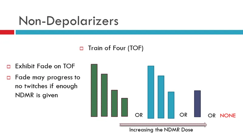 Train-of-Four Monitoring and Fade