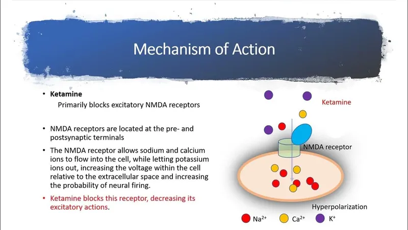 Ketamine's mechanism of action on the NMDA receptor