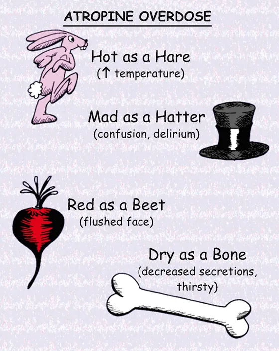 Atropine Overdose Symptoms Mnemonic