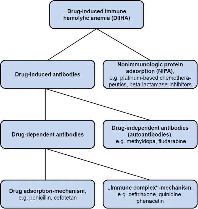Mechanisms of Drug-Induced Immune Hemolytic Anemia