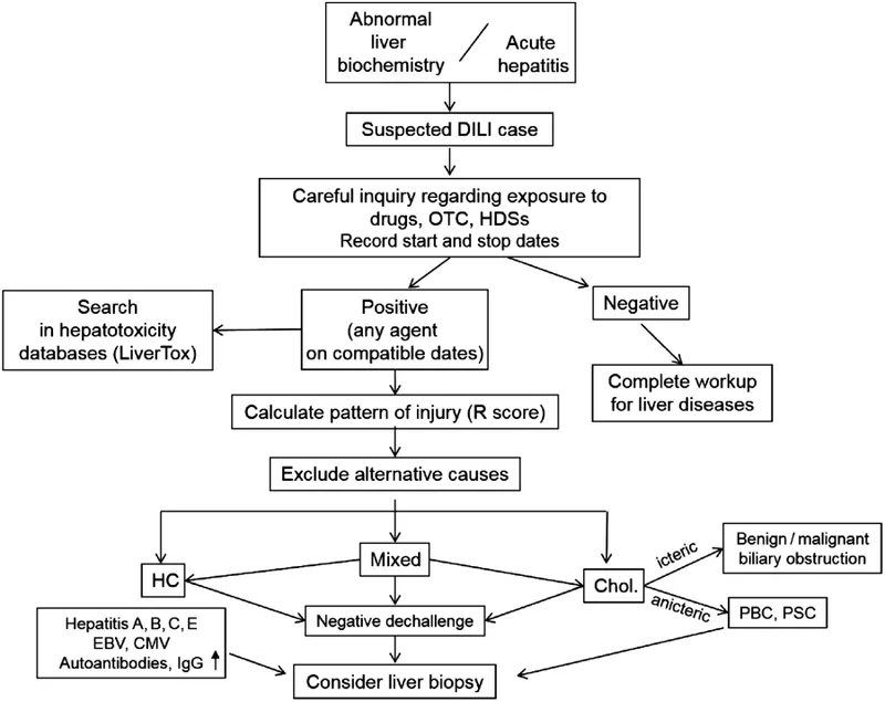 DILI diagnostic algorithm