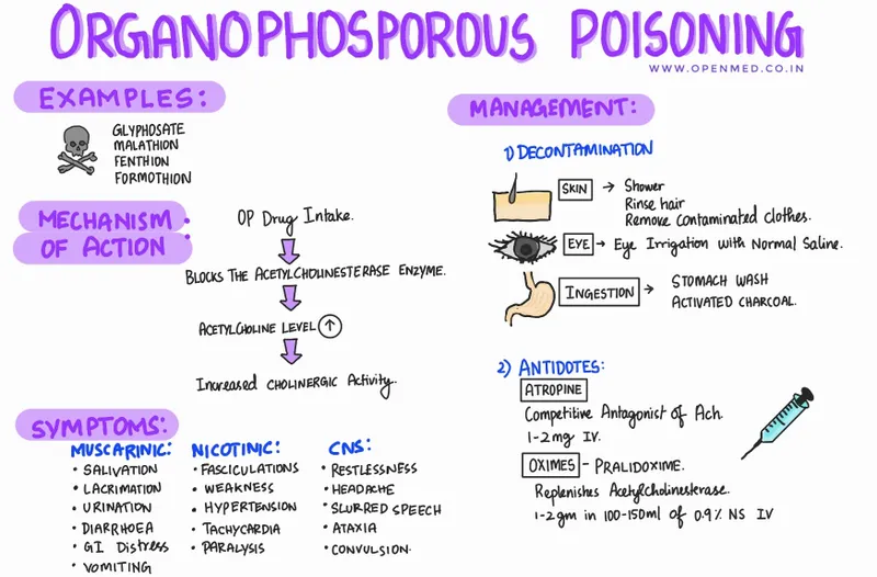 Organophosphorus Poisoning: Symptoms and Management