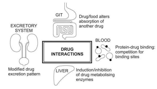 Pharmacokinetic Drug Interactions Diagram