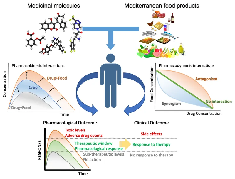 Drug-food interactions: Pharmacokinetic and pharmacodynamic