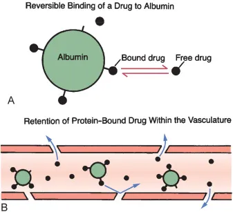 Reversible drug binding to albumin and retention