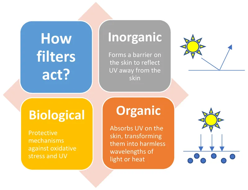 How Sunscreen Filters Act