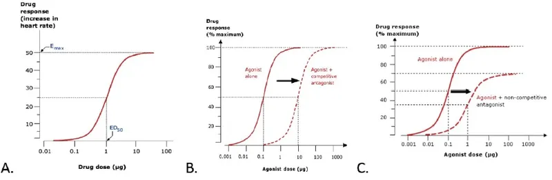 Competitive vs Non-Competitive Antagonism Dose-Response