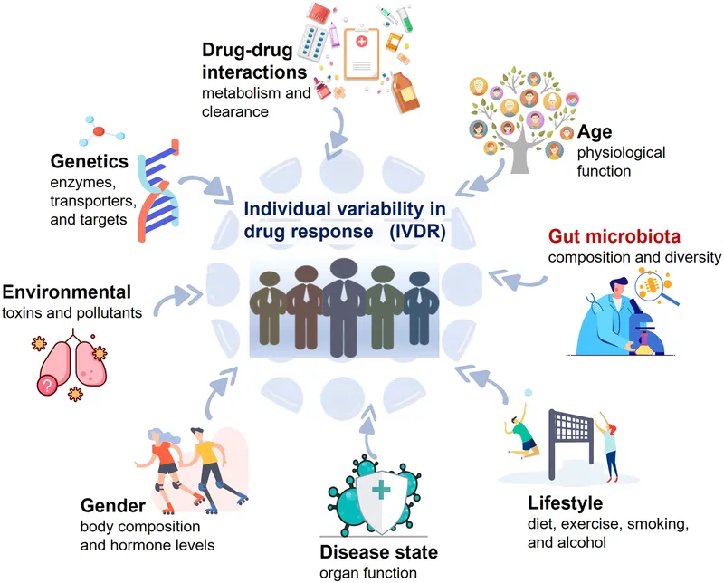 Factors influencing individual drug response