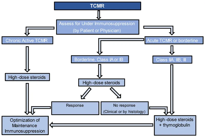 TCMR Treatment Algorithm