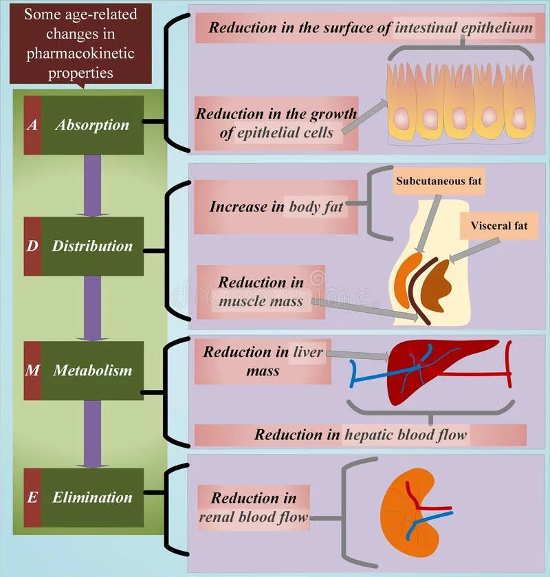 Age-related changes in pharmacokinetic properties
