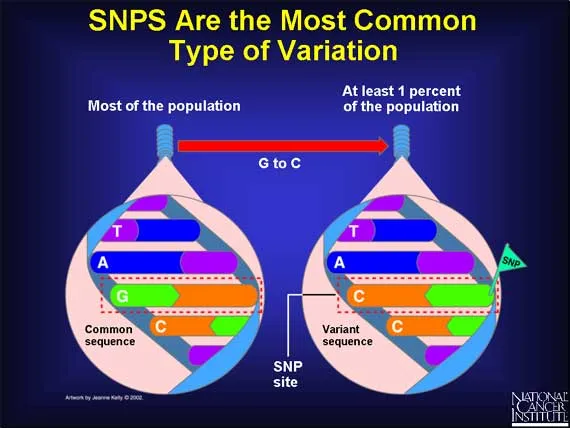 SNP vs. Common Sequence Diagram