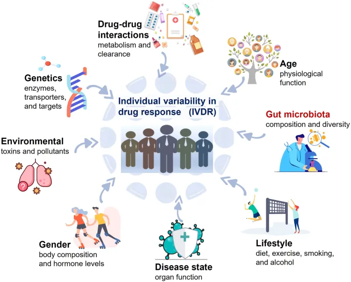 Factors influencing individual drug response