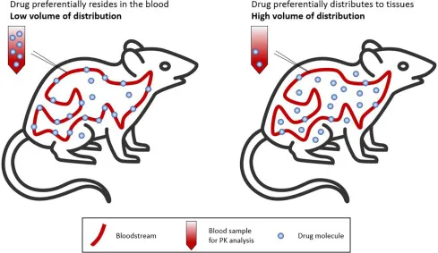 High vs. Low Volume of Distribution