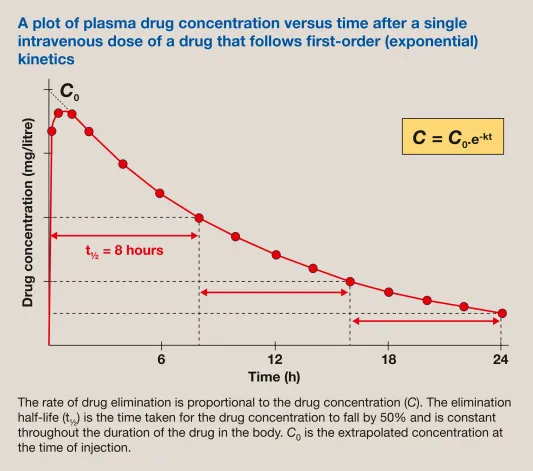 Plasma drug concentration vs. time showing half-life