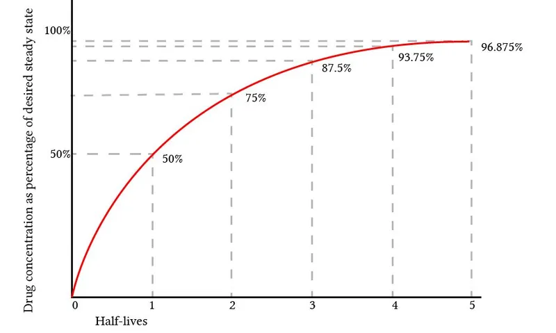 Drug concentration over half-lives to reach steady state