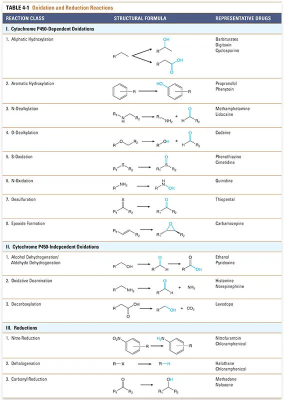 Phase I Drug Metabolism: Oxidation & Reduction Reactions