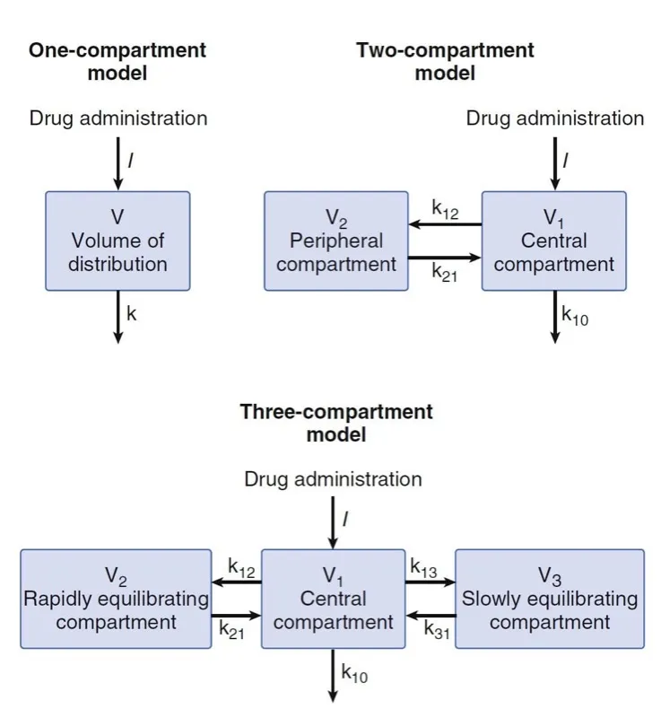 One, Two, and Three Compartment Models