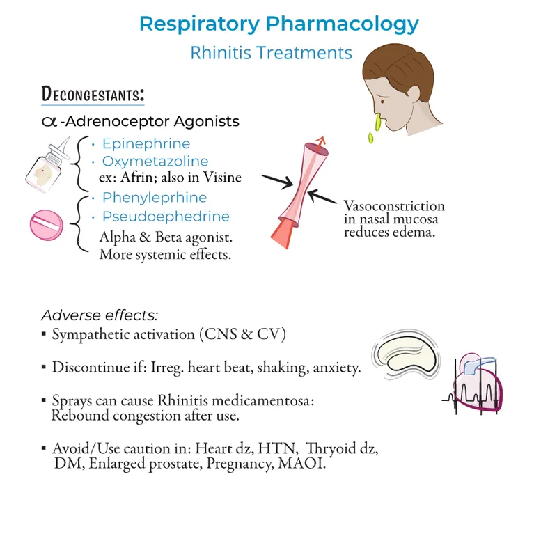 Nasal Decongestants: Types, Mechanism, and Adverse Effects