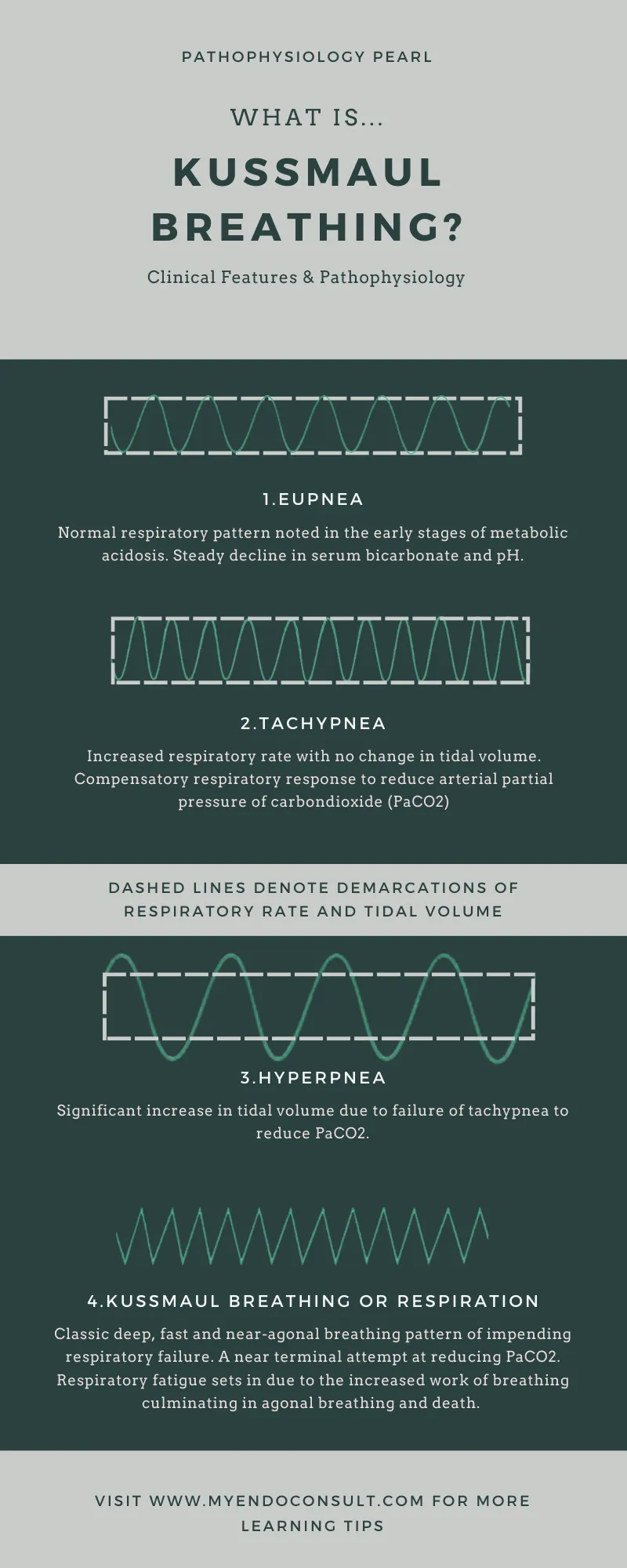 Kussmaul Breathing Patterns in Metabolic Acidosis