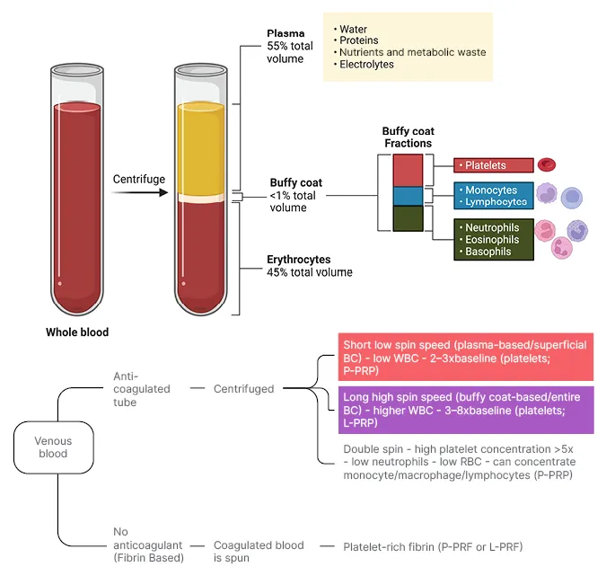 Blood composition after centrifugation