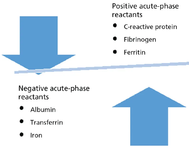Positive and negative acute-phase reactants