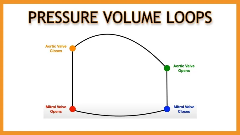 Cardiac Pressure-Volume Loop: Valve Events