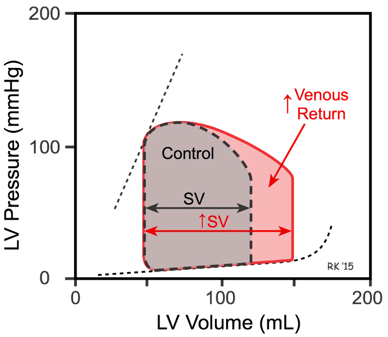 Cardiac pressure-volume loop with increased venous return