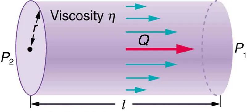 Poiseuille's Law: Flow, Radius, Length, Pressure, Viscosity